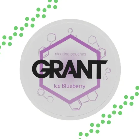 Grant Ice Blueberry nikotiinipussi