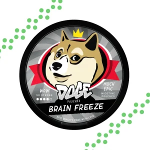 Doge Brain Freeze nikotiinipussit