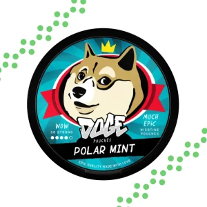 Doge Polar Mint nikotiinipussit