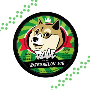 Doge Watermelon Ice nikotiinipussit